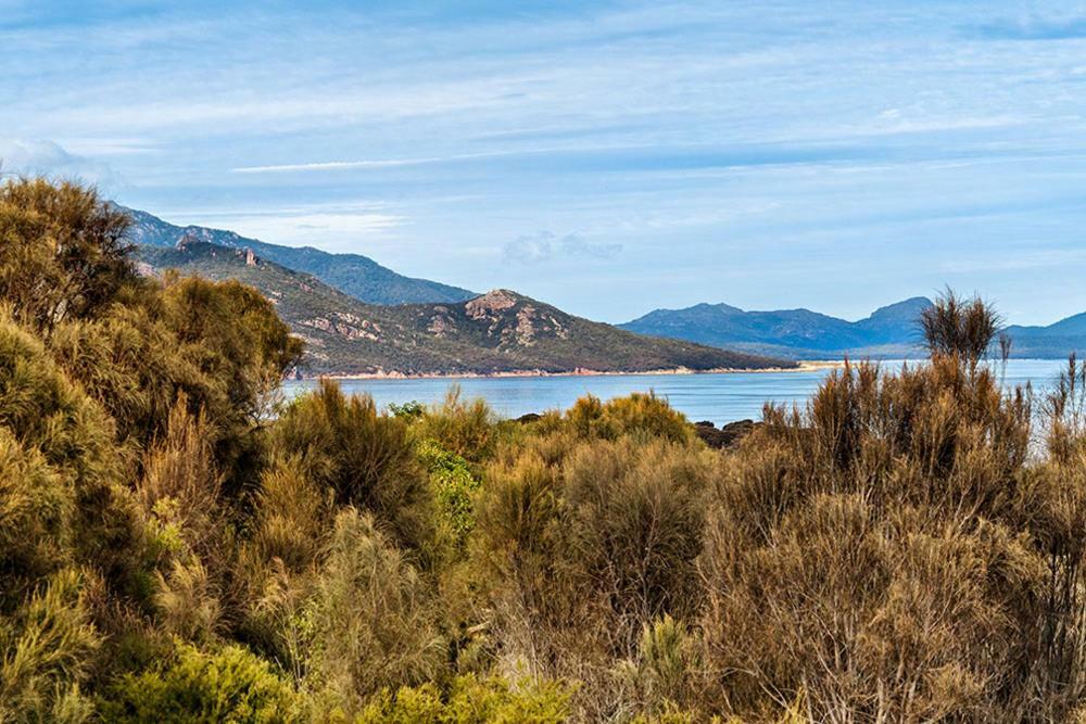 Vila Freycinet Dream Coles Bay Exteriér fotografie